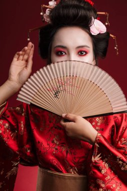 Geleneksel Japon kimonosu giymiş genç bir geyşa resmi. Kırmızı arka planda izole edilmiş ahşap el yelpaze tutuyor.