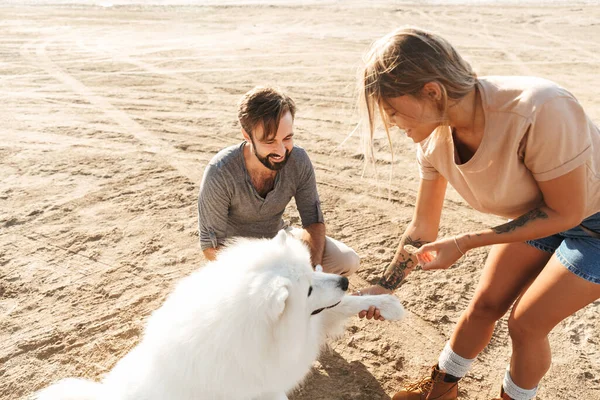 Aantrekkelijk Jong Stel Spelen Met Hun Hond Het Zonnige Strand — Stockfoto