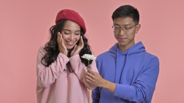 Young Happy Man Give Flower His Girlfriend Isolated Pink Wall — Stock Video