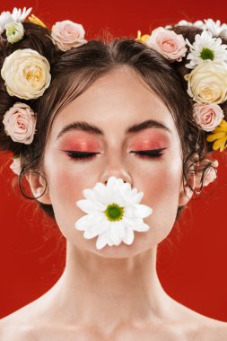 Harika çiçekli saç stili olan güzel, genç esmer kadın kırmızı arka planda izole edilmiş papatya çayıyla poz veriyor.