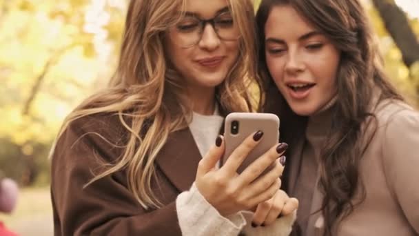 Joven Optimista Mujer Sorprendida Amigos Caminando Aire Libre Parque Natural — Vídeos de Stock