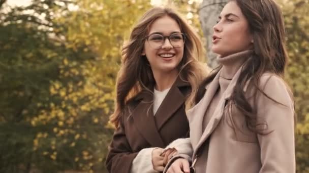 Молоді Щасливі Дівчата Друзі Виходять Вулицю Зеленому Природному Парку — стокове відео