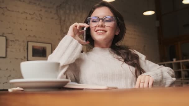 Uma Jovem Sorrindo Positiva Usando Óculos Está Falando Telefone Enquanto — Vídeo de Stock