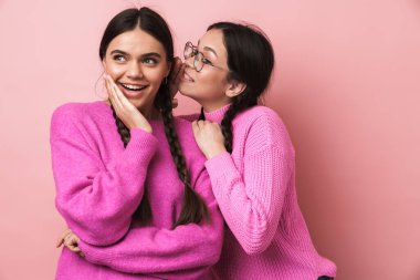 Pembe arka planda izole edilmiş, sırlarını anlatan iki neşeli genç kız.