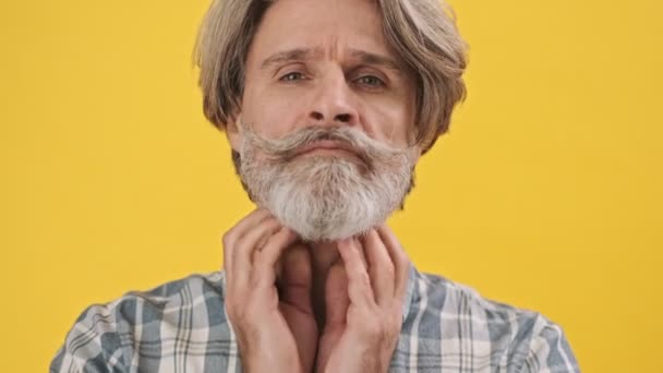 Senior Serious Man Isolated Yellow Background Touching His Moustache Beard — Stock Video