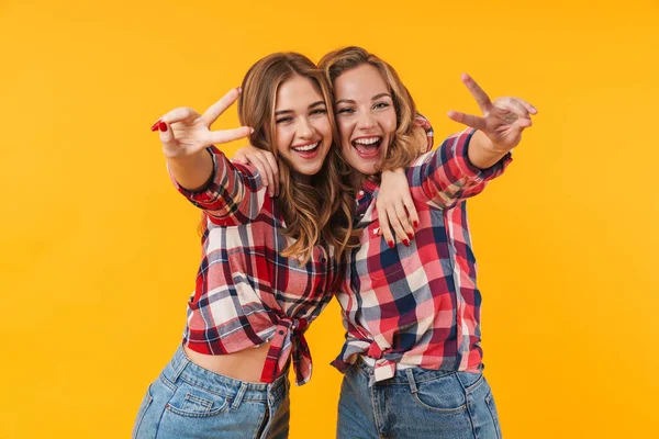 Imagen Dos Chicas Guapas Vistiendo Camisa Cuadros Sonriendo Haciendo Gestos —  Fotos de Stock