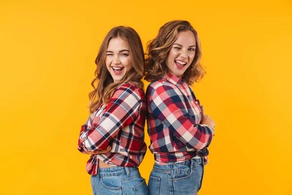 Imagem Duas Jovens Meninas Bonitas Vestindo Camisa Xadrez Sorrindo Para — Fotografia de Stock