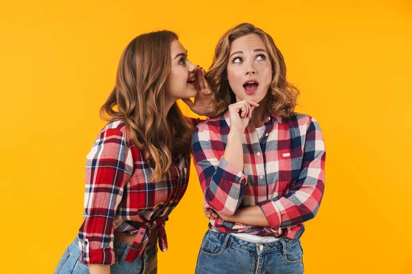 Imagen Dos Chicas Hermosas Jóvenes Con Camisa Cuadros Hablando Chismes —  Fotos de Stock