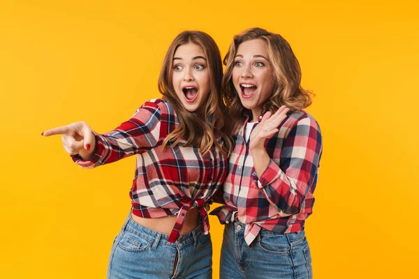 Imagem Duas Jovens Meninas Bonitas Vestindo Camisa Xadrez Sendo Animado — Fotografia de Stock