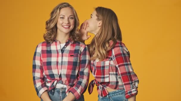 Joven Feliz Optimista Chicas Bonitas Aisladas Sobre Pared Amarilla Chismes — Vídeo de stock