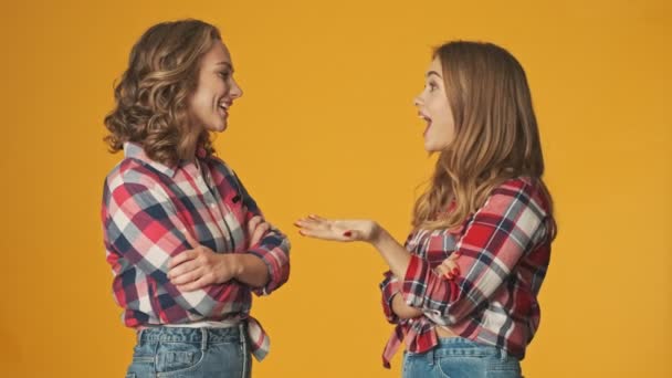 Jóvenes Chicas Bonitas Positivas Aisladas Sobre Fondo Amarillo Pared Hablando — Vídeo de stock