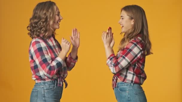Genç Mutlu Kızlar Arkadaşlar Sarı Duvar Arkasında Izole Edilmiş Kız — Stok video