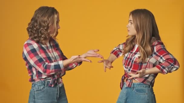 Junge Freundinnen Schwestern Isoliert Über Gelbe Wand Hintergrund Miteinander Reden — Stockvideo