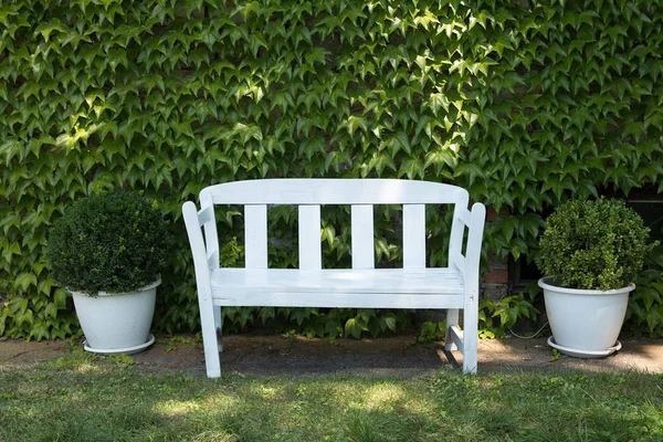 Banc blanc debout sur une pelouse au jardin — Photo gratuite