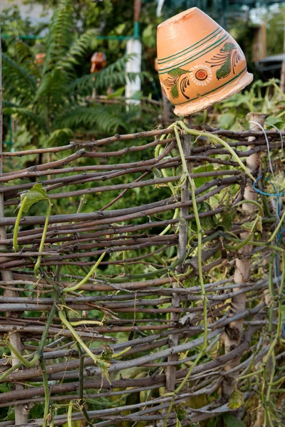 Rieten hek met klei kruik in het dorp — Stockfoto