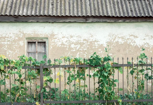 Antigua casa abandonada — Foto de stock gratis