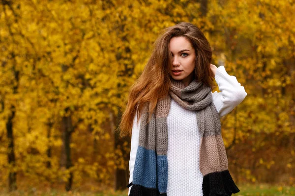 Sonbahar Park uzun kahverengi saçlı genç kız — Stok fotoğraf