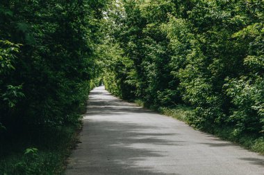 Yeşil tüneli olan parkta bir yol..