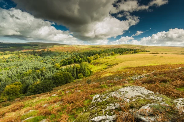 Kolory jesieni i vista dramatyczne niebo w Dartmoor — Zdjęcie stockowe