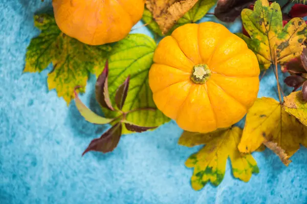 Herbstliche bunte lebendige Hintergrund — Stockfoto