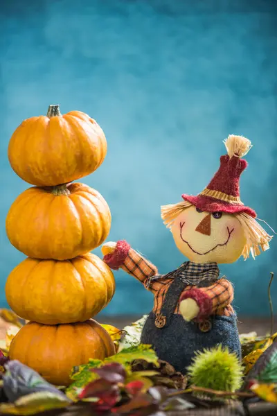 Funny scarecrow show pumpkins — Stock Photo, Image