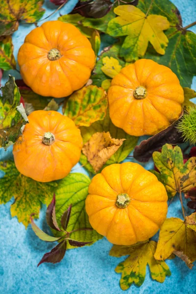 Herbstliche bunte lebendige Hintergrund — Stockfoto
