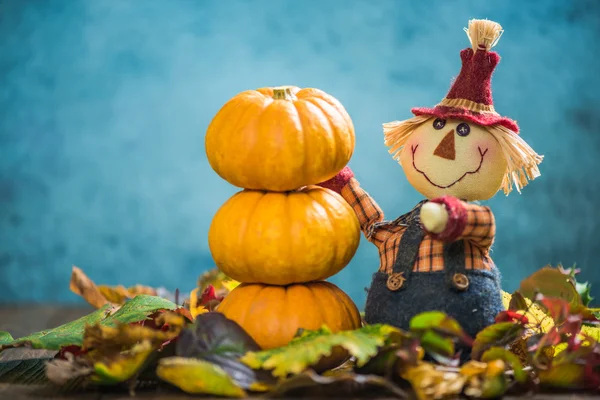 Funny scarecrow farmer show fall produce crop — Stock Photo, Image