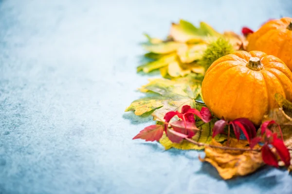 カラフルな秋季節紅葉背景 — ストック写真