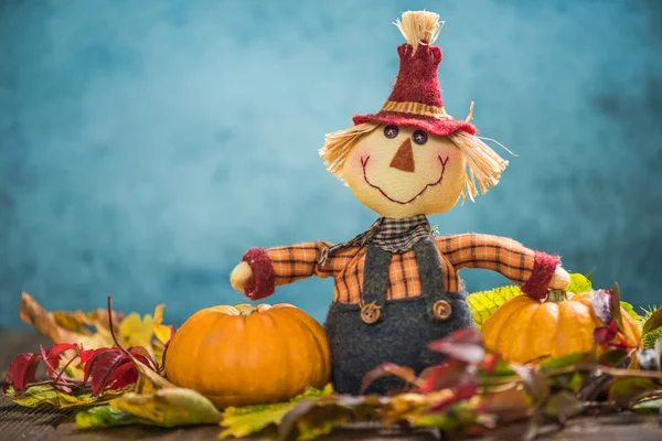 Scarecrow farmer show autumn harvest — Stock Photo, Image