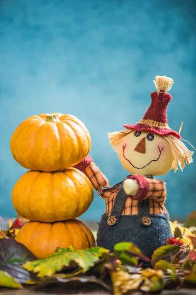 Scarecrow stacking pumpkins — Stock Photo, Image