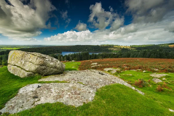 Panoramiczny widok perspektywiczny nad Dartmoor o jesieni — Zdjęcie stockowe