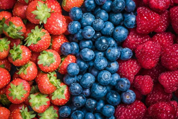 Bleuets, framboises et fraises frais — Photo