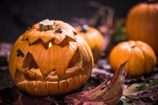 Pumpkin lantern with scary face carved — Stock Photo, Image