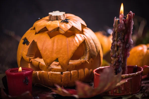 Enge Halloween pompoenen — Stockfoto