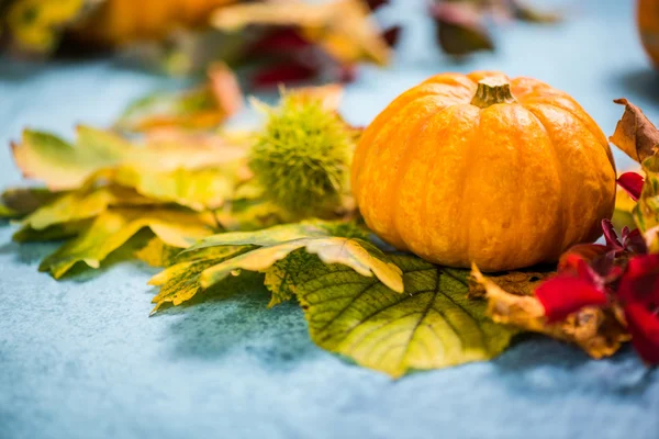 Bunt Herbst saisonal Herbst Farben Hintergrund — Stockfoto