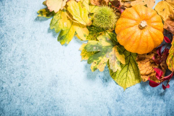 秋のカラフルな活気に満ちた背景 — ストック写真