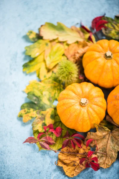 Bunt Herbst saisonal Herbst Farben Hintergrund — Stockfoto