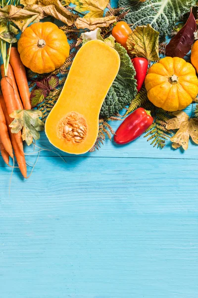 Fall harvesting time, vibrant vegetables — Stock Photo, Image