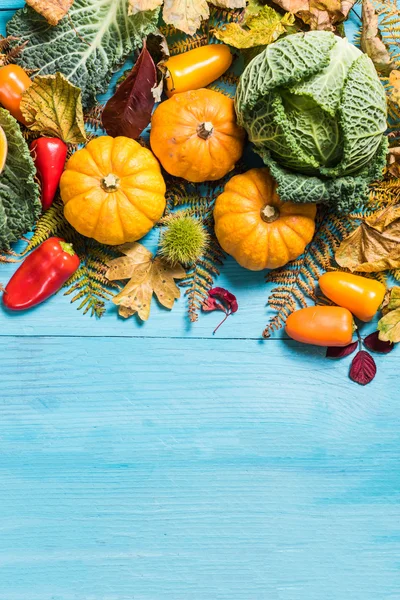 Fall harvesting time, vibrant vegetables — Stock Photo, Image