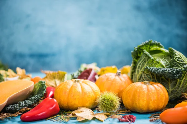 Herbsternte auf dem Markt für regionale Produkte — Stockfoto