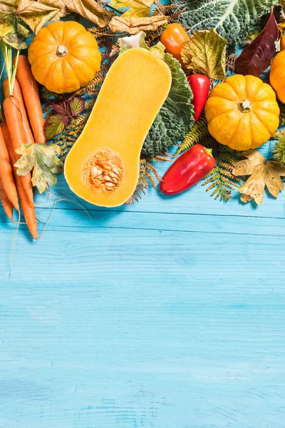 Fall harvesting time, vibrant vegetables — Stock Photo, Image