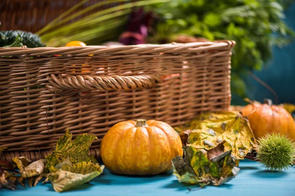 Herbsternte auf dem Markt für regionale Produkte — Stockfoto