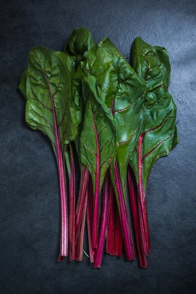 Bunch of red chard
