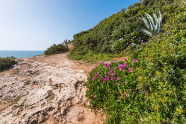 Portekiz Algarve güzel turkuaz maliyet