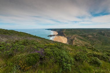 Kır çiçekleri uçurum yaz Portekiz Algarve bölgesinde üzerinde