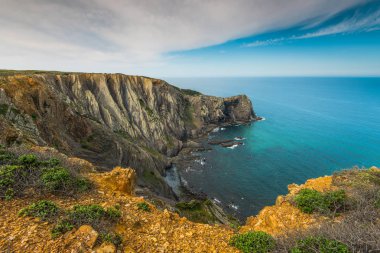 Kır çiçekleri uçurum yaz Portekiz Algarve bölgesinde üzerinde