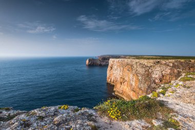 Kır çiçekleri uçurum yaz Portekiz Algarve bölgesinde üzerinde