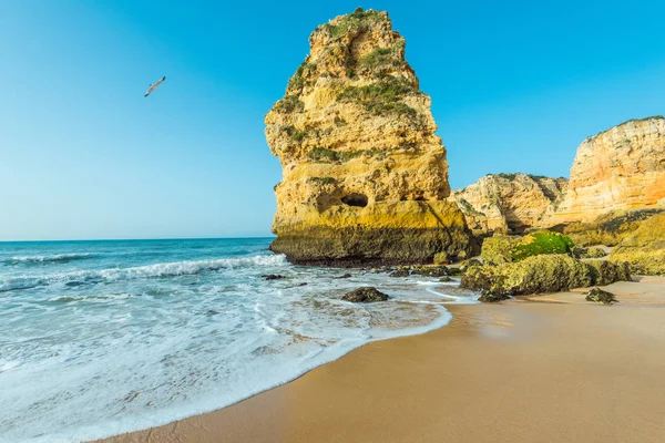 Algarve prachtige turquoise kosten in Portugal — Stockfoto