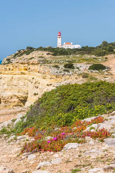 Fyren på Algarve klippor, Portugal — Stockfoto