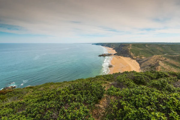 Kytice na útesech v regionu Algarve, Portugalsko na léto — Stock fotografie